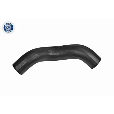 Imprescindible (Must-Have) Tubo flexible de aire de sobrealimentación VAICO V42-0585